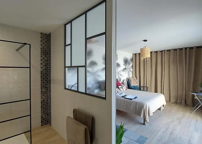 Recente Spacieuse Piscine St Gilles Villa *