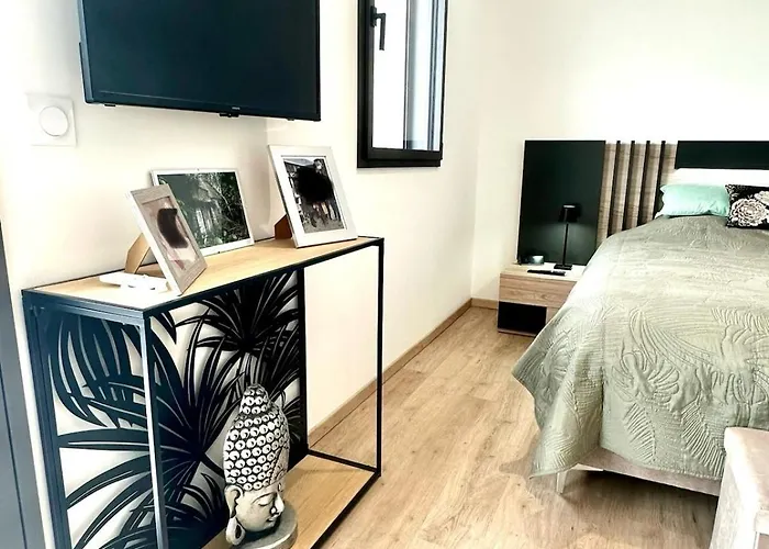 Villa Recente Spacieuse Piscine St Gilles