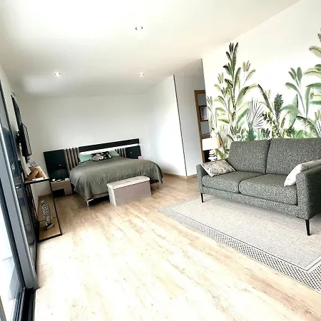 Recente Spacieuse Piscine St Gilles *