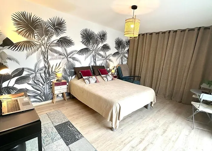 Récente Spacieuse Piscine St Gilles